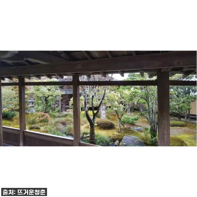 꿈에 그리던 오사카-교토 여행, 프라 관련 이미지 1