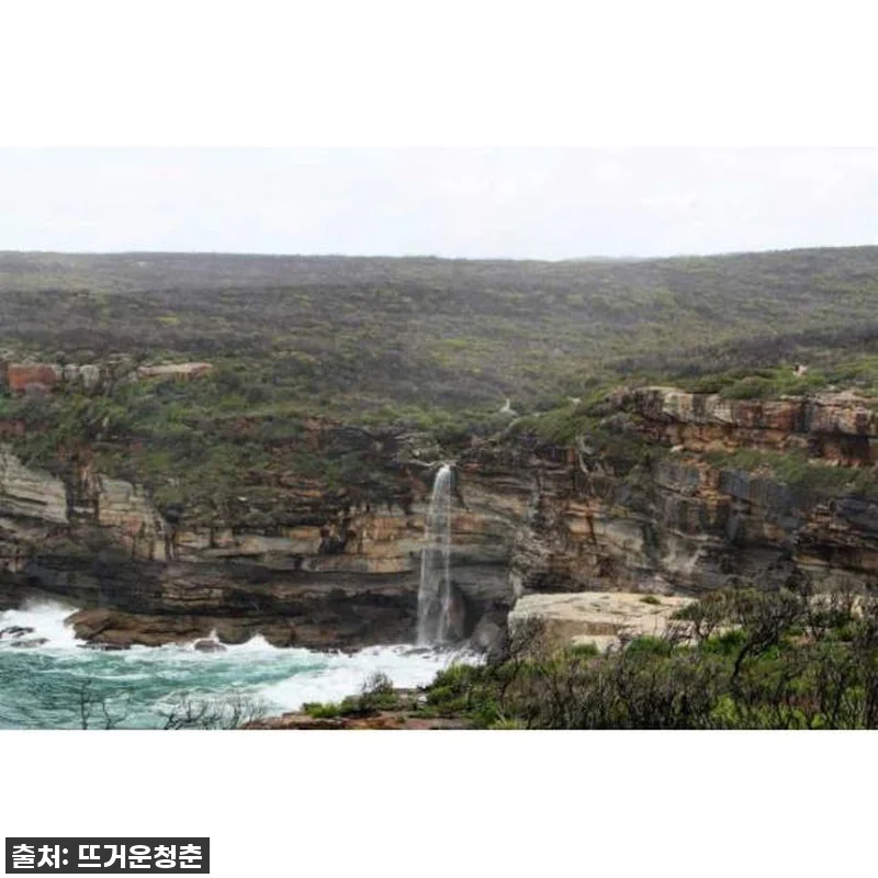 숨 막히는 시드니 근교 자연! 로열 관련 이미지 1