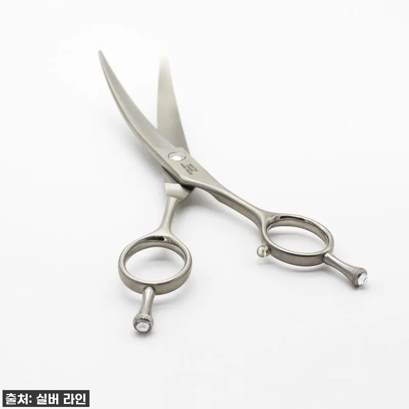 우리 아이 미용, 이제 전문가처럼! 관련 이미지 1