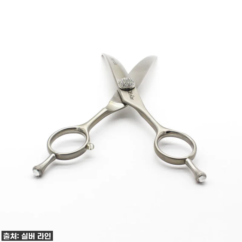 우리 아이 미용, 이제 전문가처럼! 관련 이미지 2