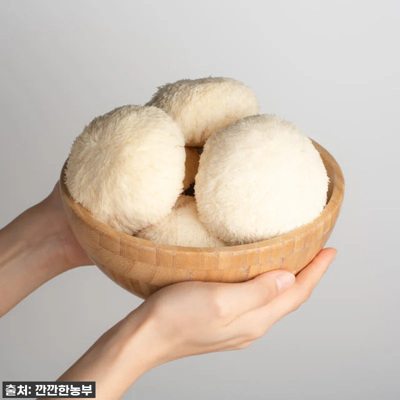 깐깐한농부 진한 노루궁뎅이버섯 액기스 관련 이미지 2