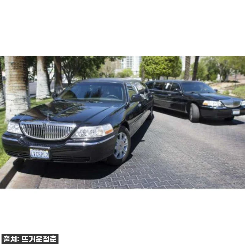 꿈에 그리던 라스베이거스 웨딩, 리무 관련 이미지 3