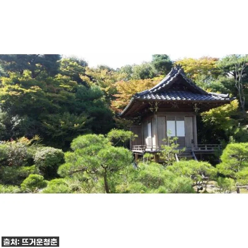 꿈에 그리던 오사카-교토 여행, 프라 관련 이미지 3