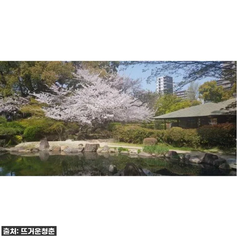 오사카 여행, 이렇게 편할 줄이야! 관련 이미지 4