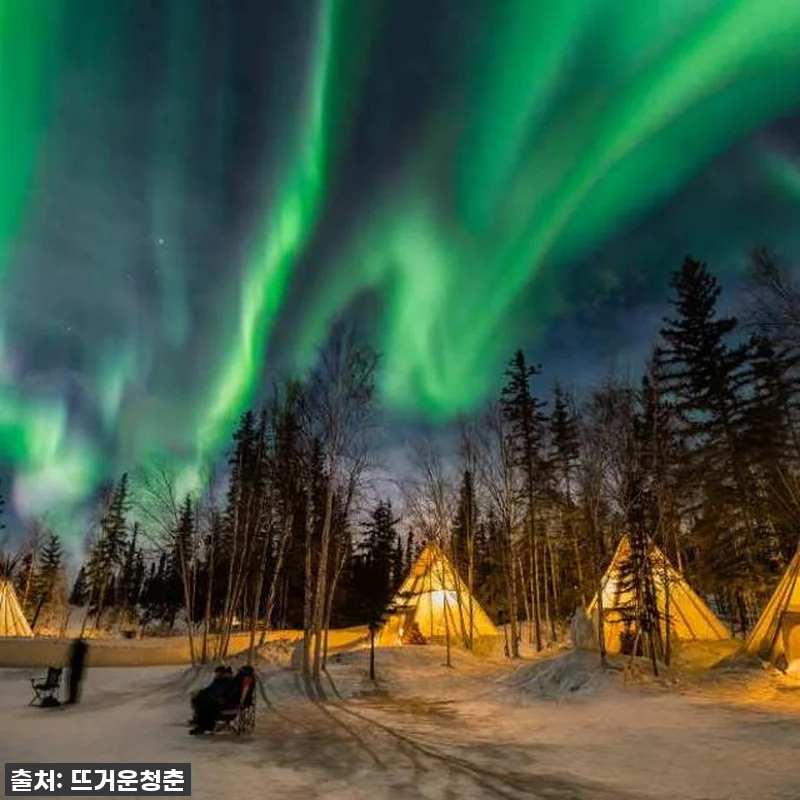 꿈의 오로라를 현실로! 캐나다 옐로나 관련 이미지 4