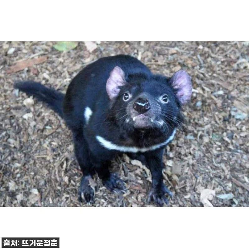 숨 막히는 시드니 근교 자연! 로열 관련 이미지 4