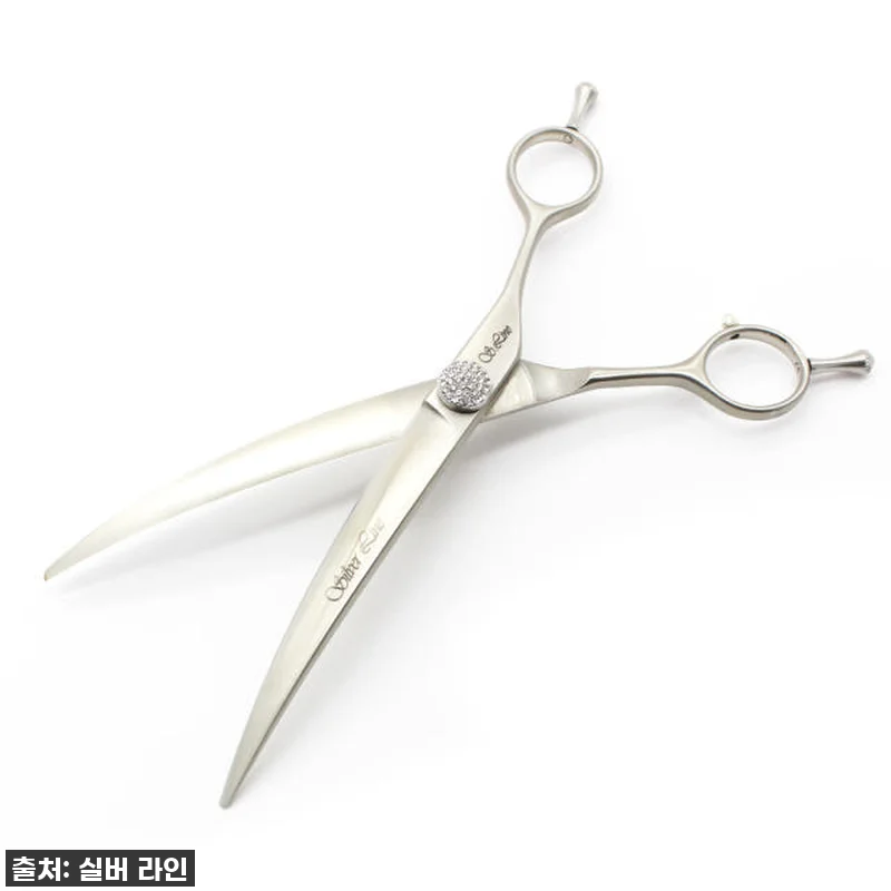 우리 아이 미용, 이제 전문가처럼! 관련 이미지 4