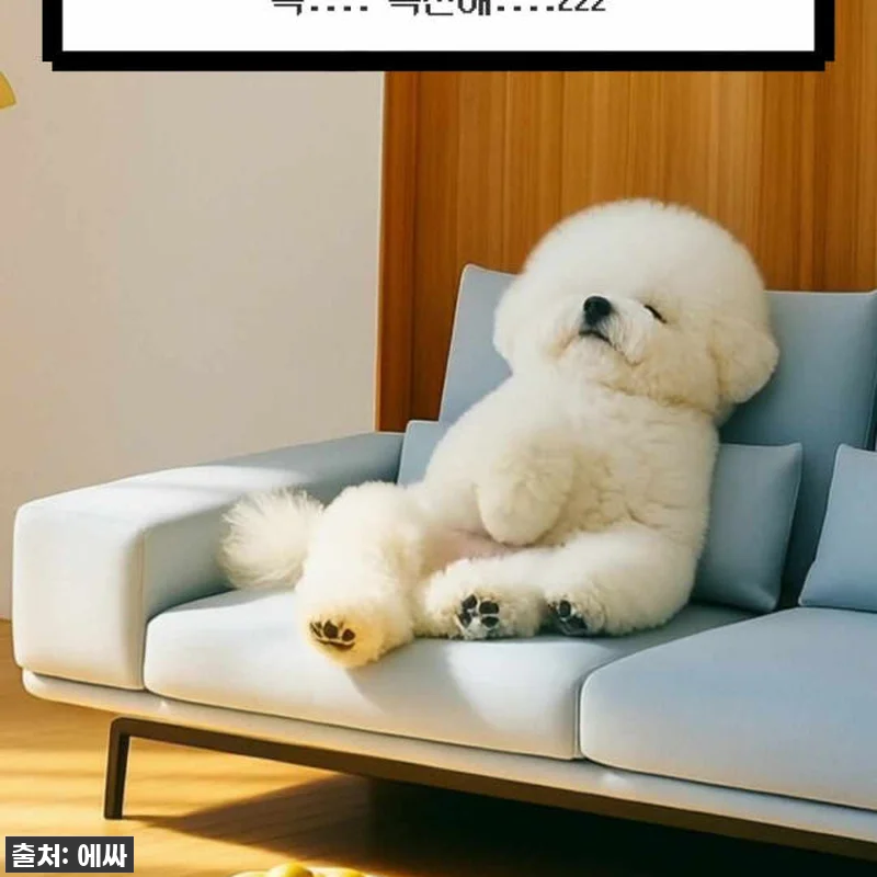 우리 집 거실의 품격을 한 단계 높이 관련 이미지 6