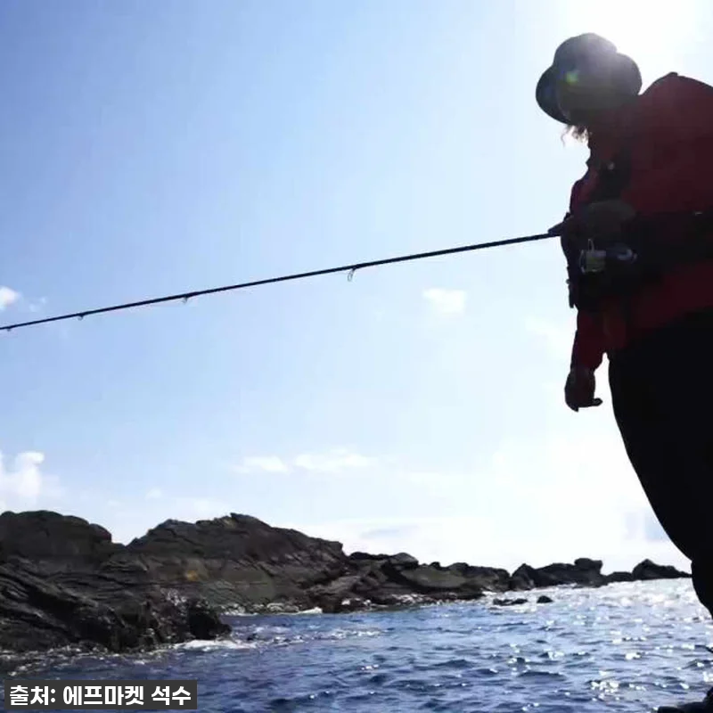 다이와 24 세르테이트 FC LT 볼 관련 이미지 10