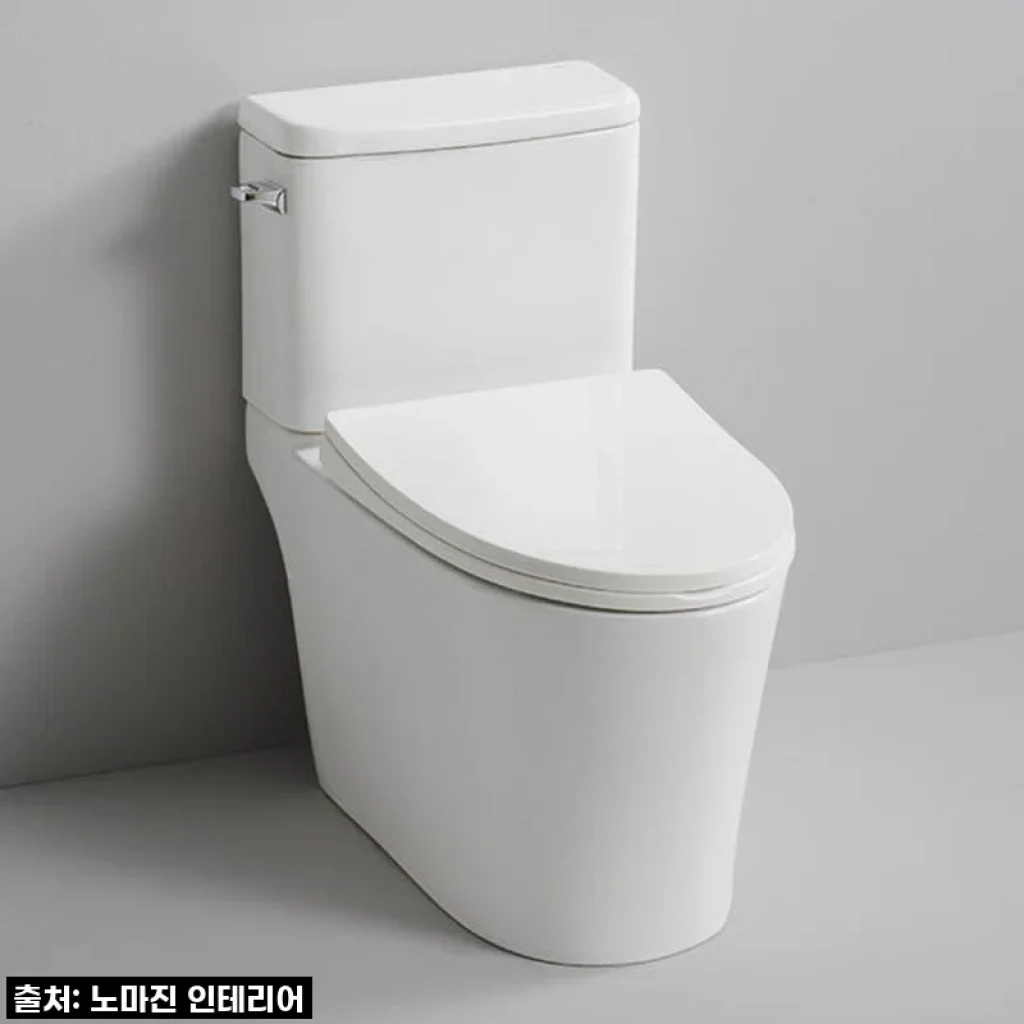 우리집 화장실 새 단장! 대림바스 CC733 치마형 양변기 교체 후기, 이젠 맘 편히 써요!