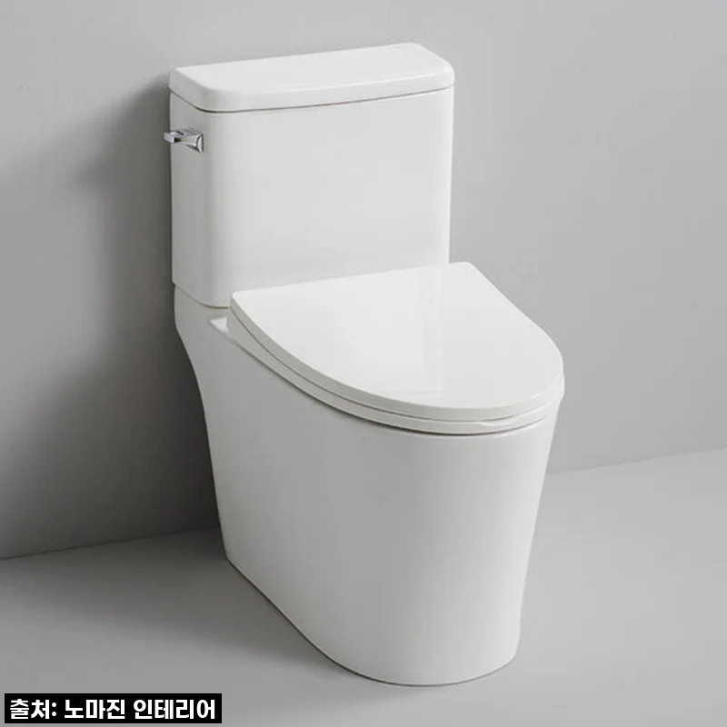 우리집 화장실 새 단장! 대림바스 CC733 치마형 양변기 교체 후기, 이젠 맘 편히 써요!