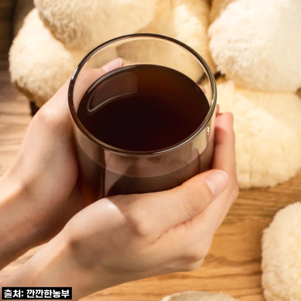 깐깐한농부 진한 노루궁뎅이버섯 액기스, 지친 속 편안하게 달래주는 나의 비밀 무기! 솔직 후기