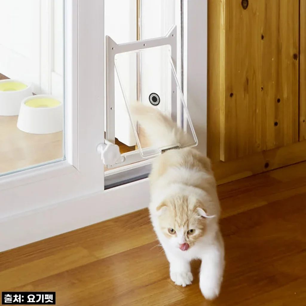 우리집 댕냥이의 베란다 프리패스! 요기펫 높이조절 펫도어 설치 후기 (feat. 따뜻한 겨울)