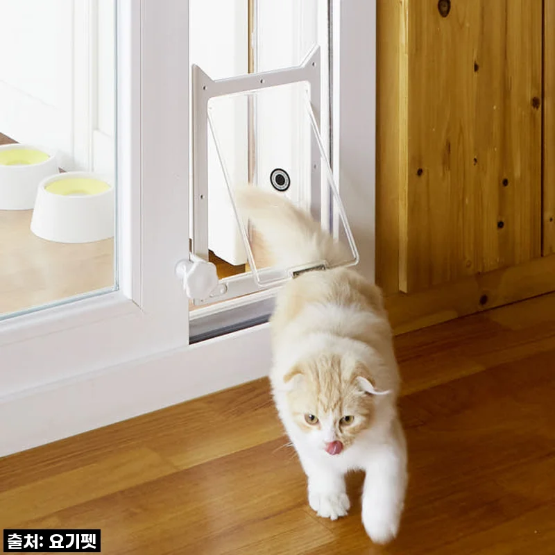 우리집 댕냥이의 베란다 프리패스! 요기펫 높이조절 펫도어 설치 후기 (feat. 따뜻한 겨울)