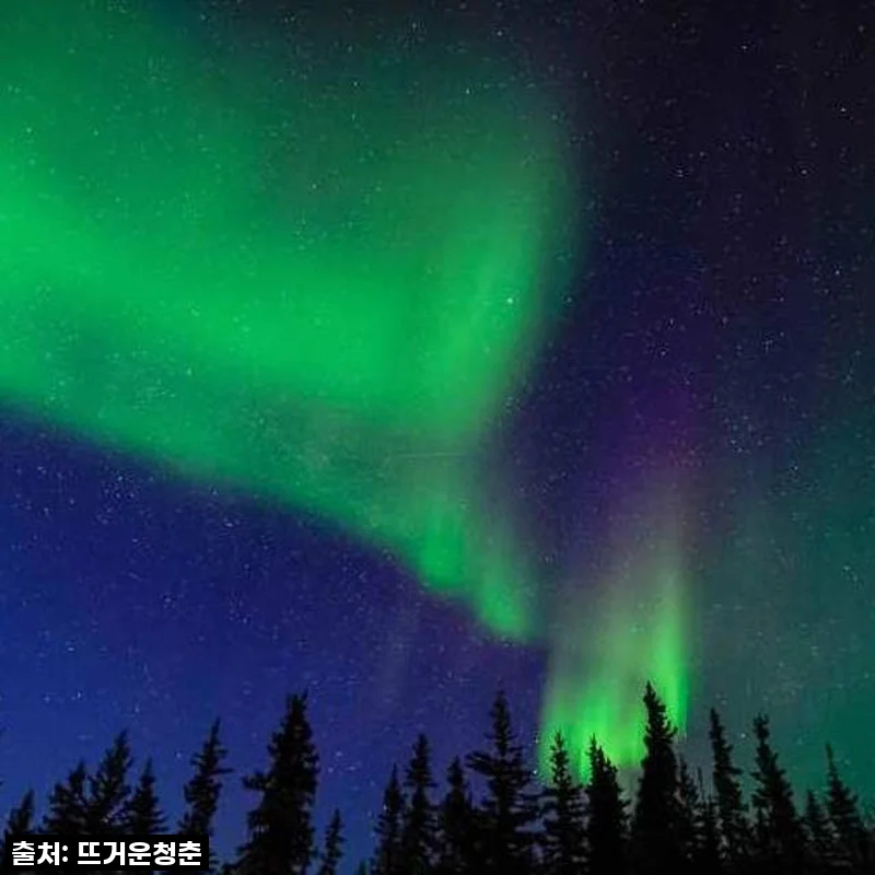 꿈의 오로라를 현실로! 캐나다 옐로나이프 3박4일 투어, 제 인생 최고의 선물이었어요!