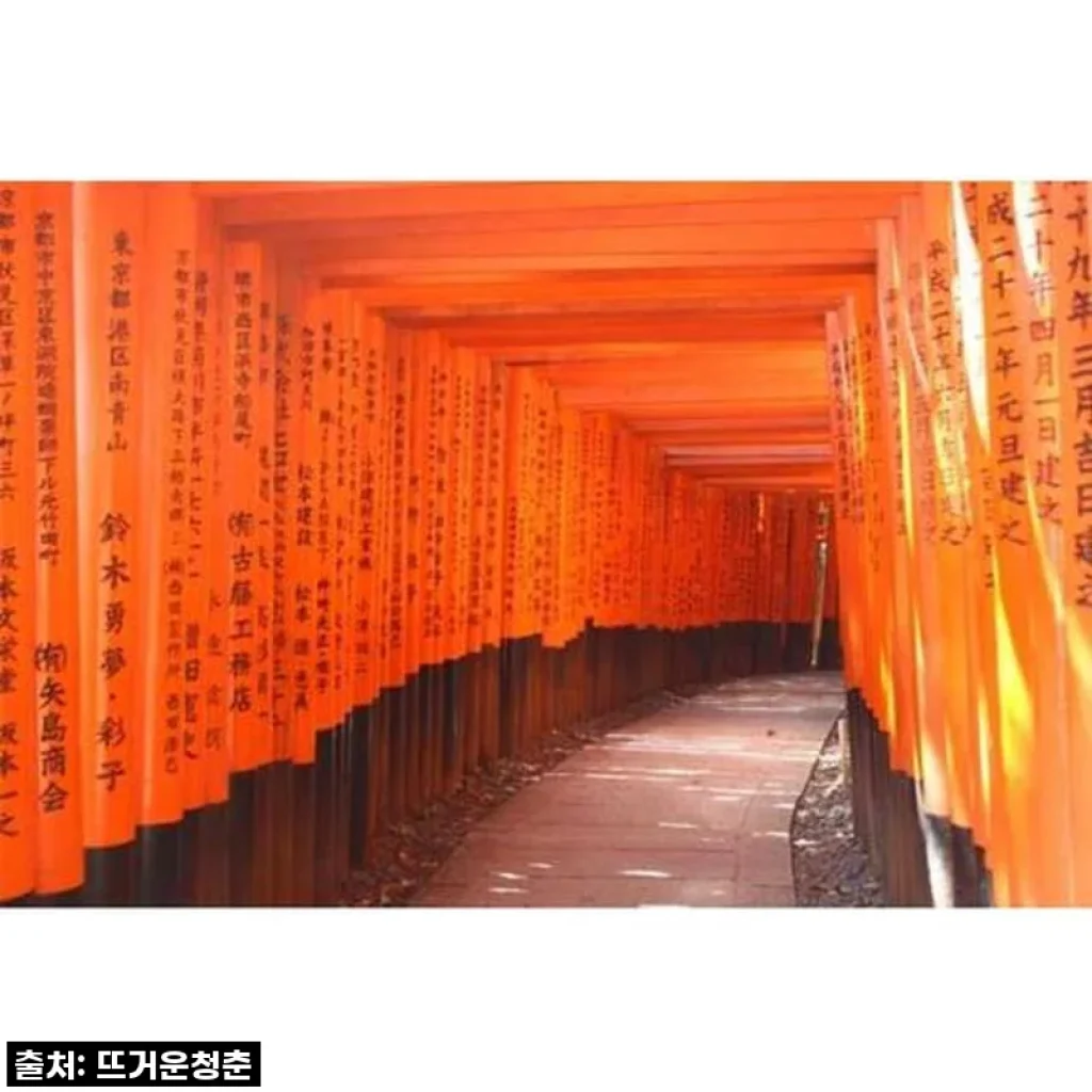 꿈에 그리던 오사카-교토 여행, 프라이빗 투어로 완벽하게 즐긴 솔직 후기!