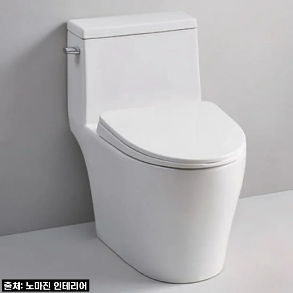 우리집 욕실 분위기 확! 바꾼 대림바스 CC280 원피스 치마형 양변기 설치 후기