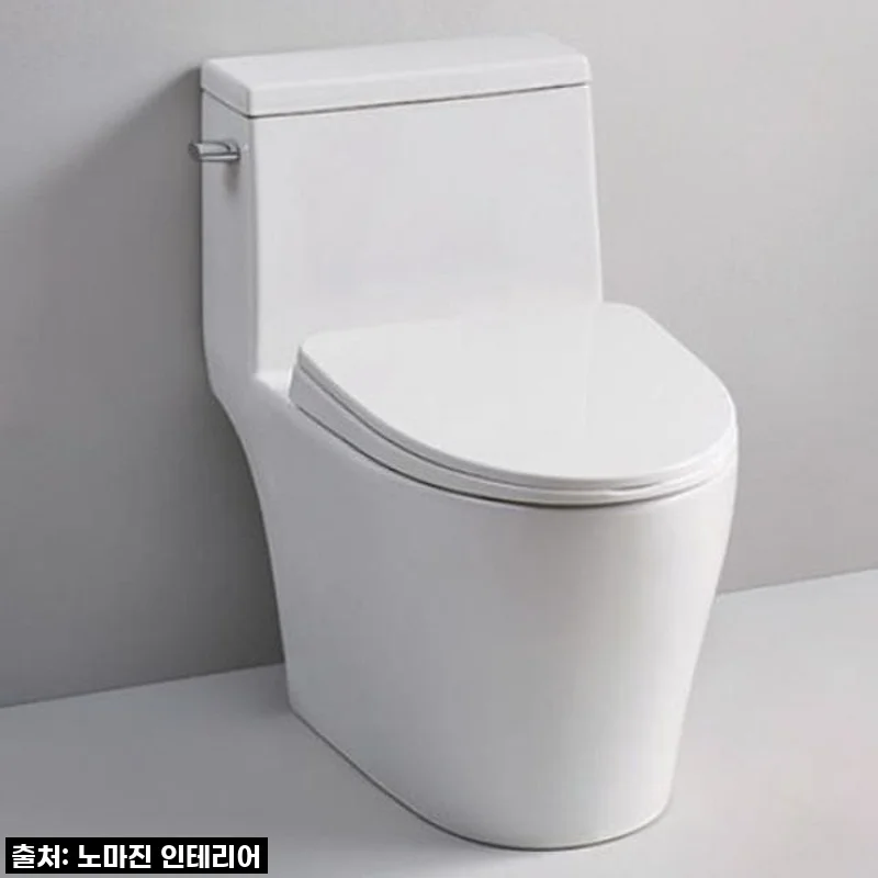 우리집 욕실 분위기 확! 바꾼 대림바스 CC280 원피스 치마형 양변기 설치 후기