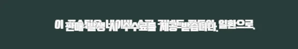 나노휠 커브20 면허필요없는 전동 전기자전거 사용후기 11 이해관계문구