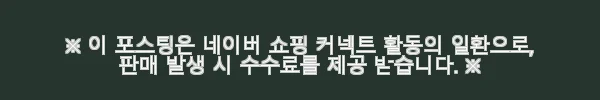 로저비비에 버클 마이크로 클러치 RBWALTD0000RS0B999 사용후기 4 이해관계문구