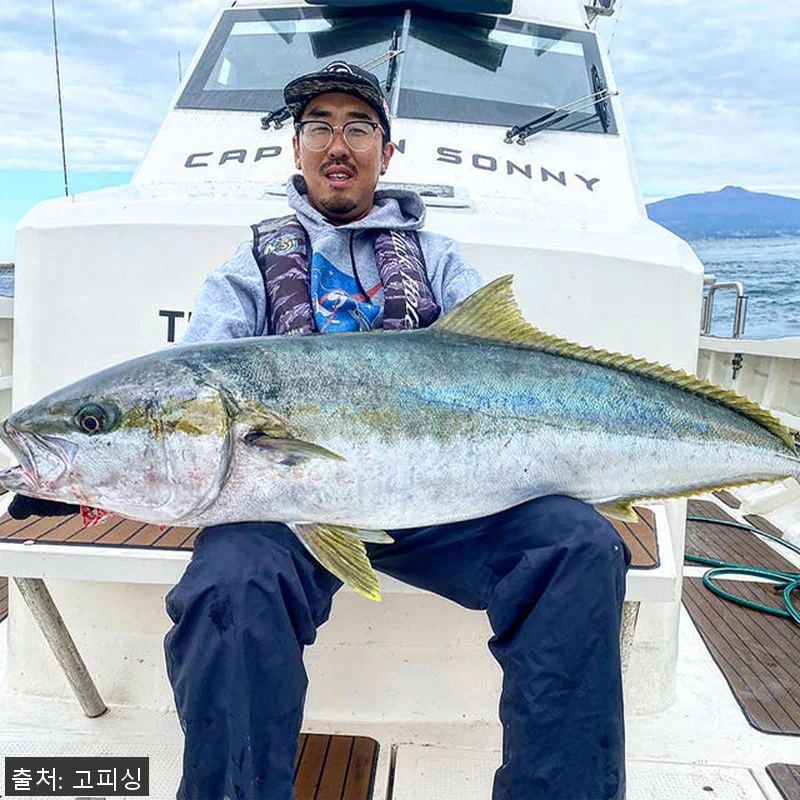 NS 보카 BL 지깅낚시대 S-541 관련 이미지 1