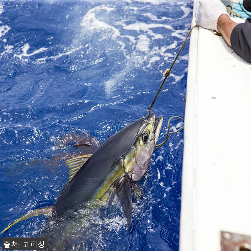 NS 보카 BL 지깅낚시대 S-541 관련 이미지 3