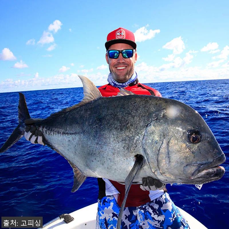 NS 보카 BL 지깅낚시대 S-541 관련 이미지 4