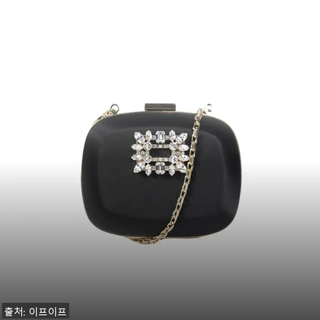 로저비비에 버클 마이크로 클러치 RBWALTD0000RS0B999 사용후기