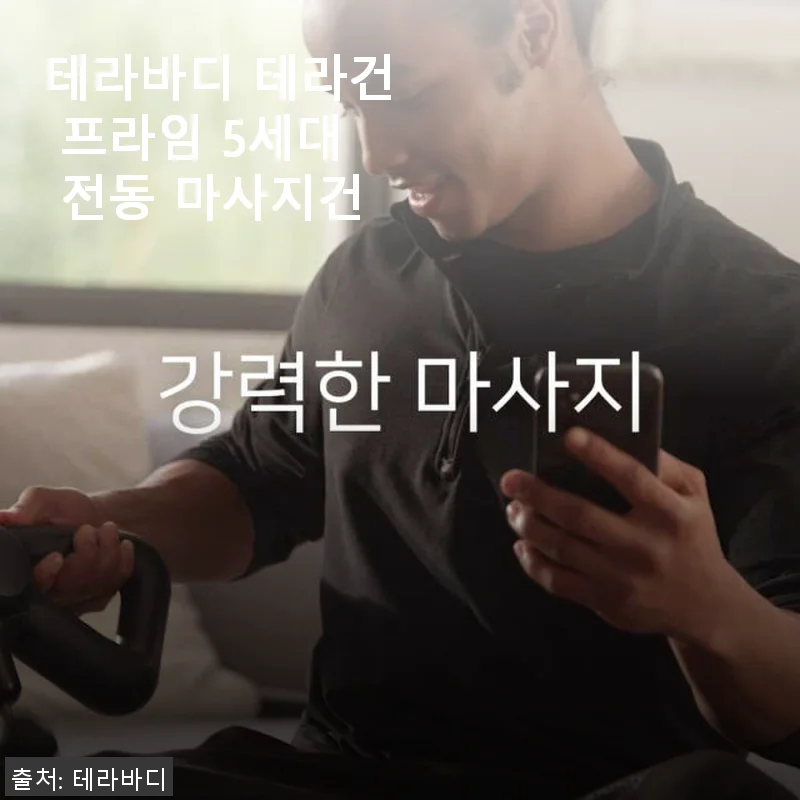 테라바디 테라건 프라임 5세대 전동 마사지건 사용후기