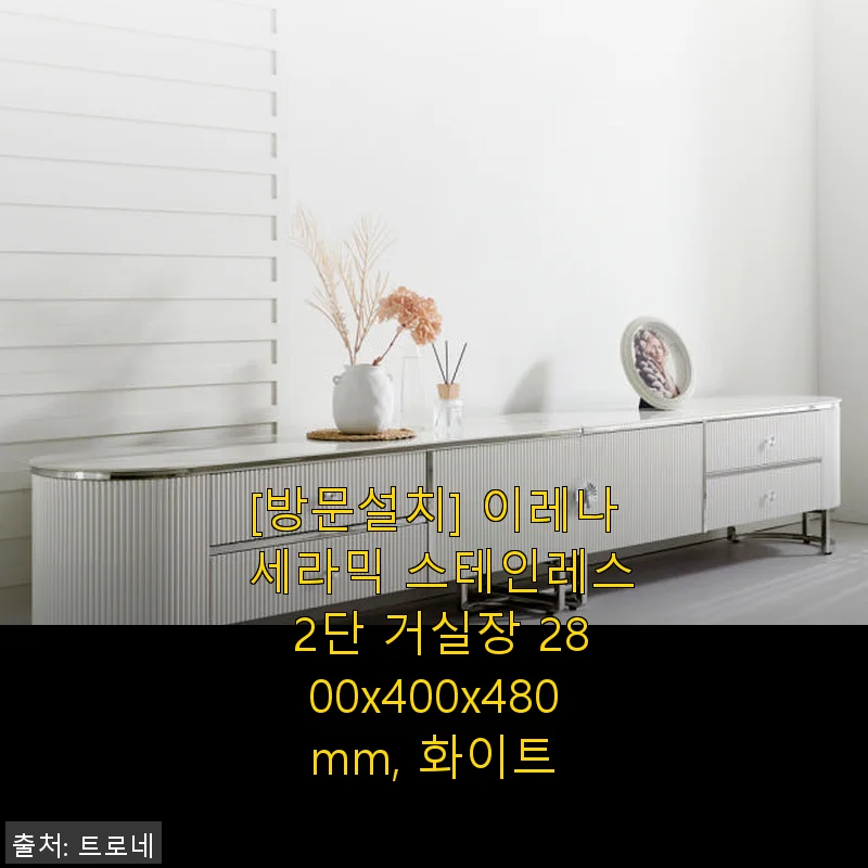 이레나 세라믹 스테인레스 2단 거실장 사용후기: 고급스러움과 실용성 모두 만족