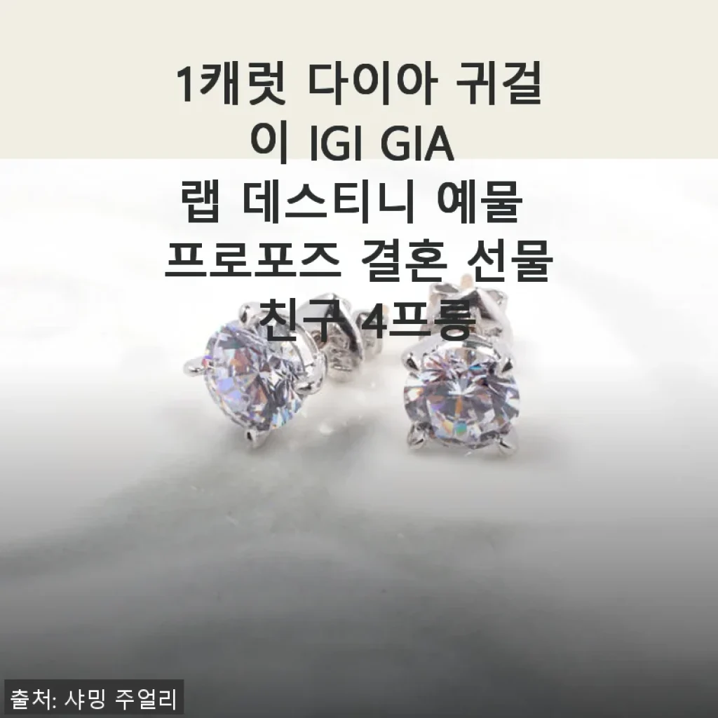 1캐럿 다이아 귀걸이 IGI GIA 랩 데스티니 4프롱 사용후기