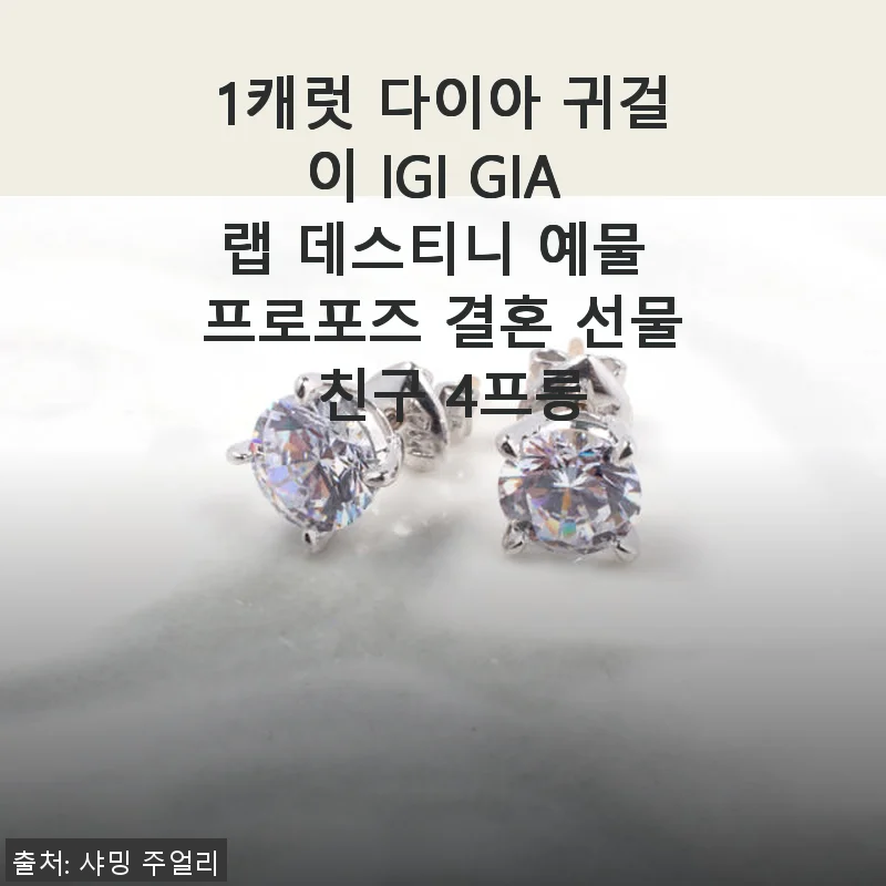 1캐럿 다이아 귀걸이 IGI GIA 랩 데스티니 4프롱 사용후기