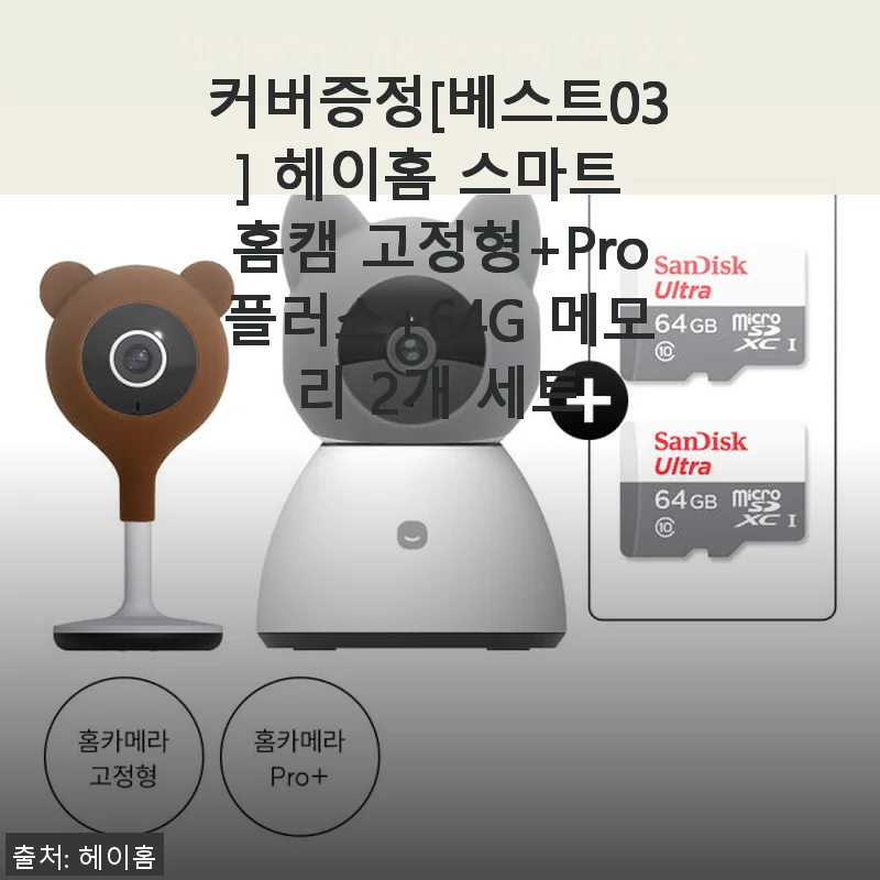 헤이홈 스마트 홈캠 고정형+Pro플러스+64G 메모리 2개 세트 사용후기