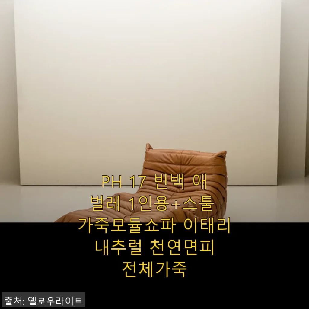 PH 17 빈백 애벌레 1인용+스툴 가죽모듈쇼파 사용후기