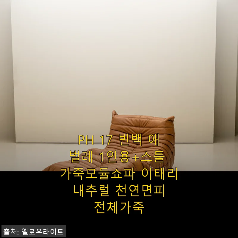 PH 17 빈백 애벌레 1인용+스툴 가죽모듈쇼파 사용후기