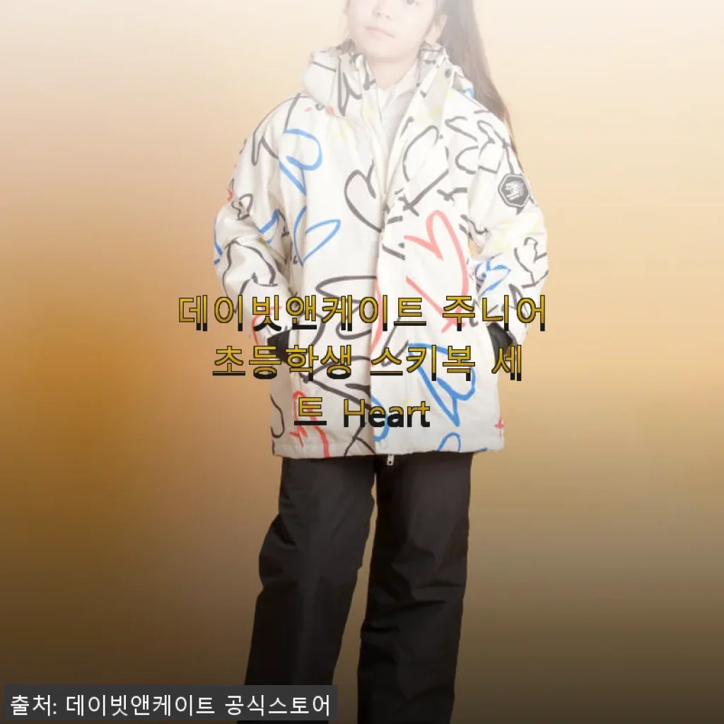 데이빗앤케이트 주니어 초등학생 스키복 세트 Heart 사용 후기