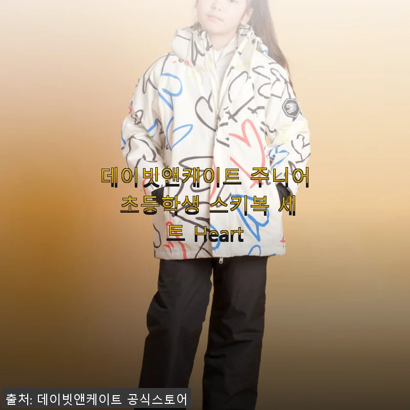 데이빗앤케이트 주니어 초등학생 스키복 세트 Heart 사용 후기