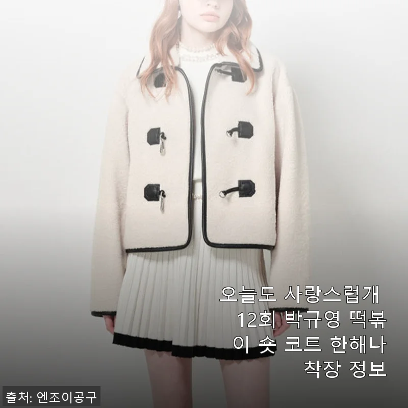 오늘도 사랑스럽개 12회 박규영 떡볶이 숏 코트 한해나 착장 사용후기