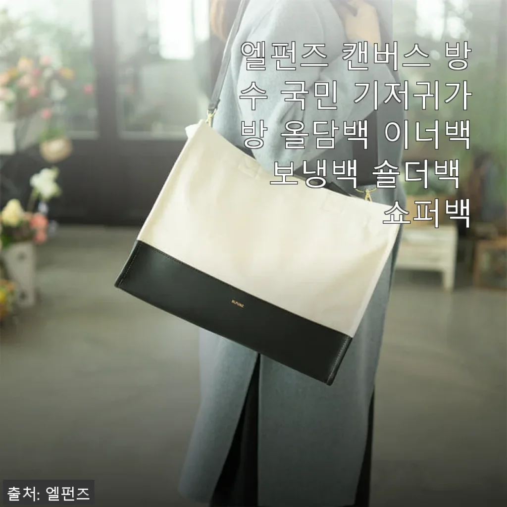 엘펀즈 캔버스 방수 국민 기저귀가방 올담백 사용후기