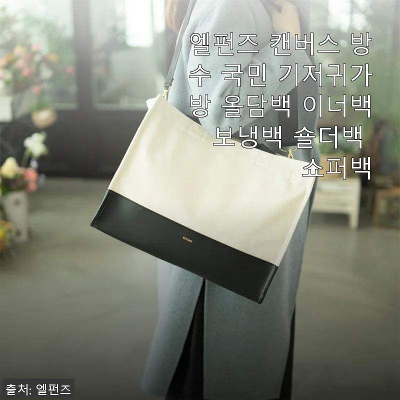 엘펀즈 캔버스 방수 국민 기저귀가방 올담백 사용후기