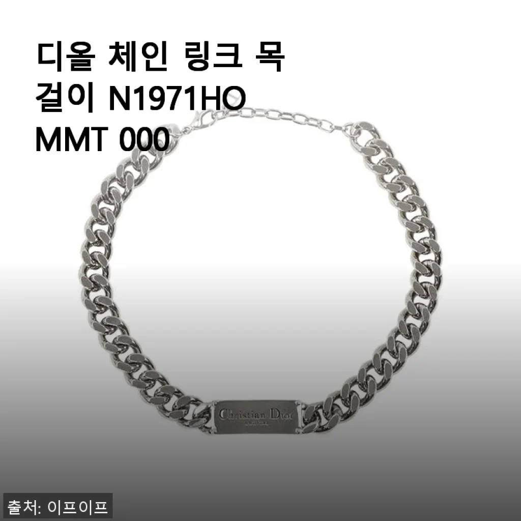 디올 체인 링크 목걸이 N1971HOMMT 000 사용 후기와 구매 팁