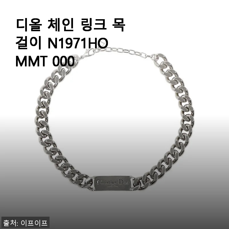 디올 체인 링크 목걸이 N1971HOMMT 000 사용 후기와 구매 팁