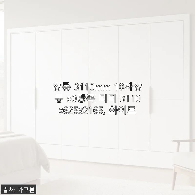 장롱 3110mm 10자장롱 E0광폭 티티 3110x625x2165 화이트 사용 후기