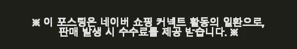 라디오플라이어 컨버터블 키즈 웨건 사용후기: 아이와 함께하는 나들이 필수품 10 이해관계문구