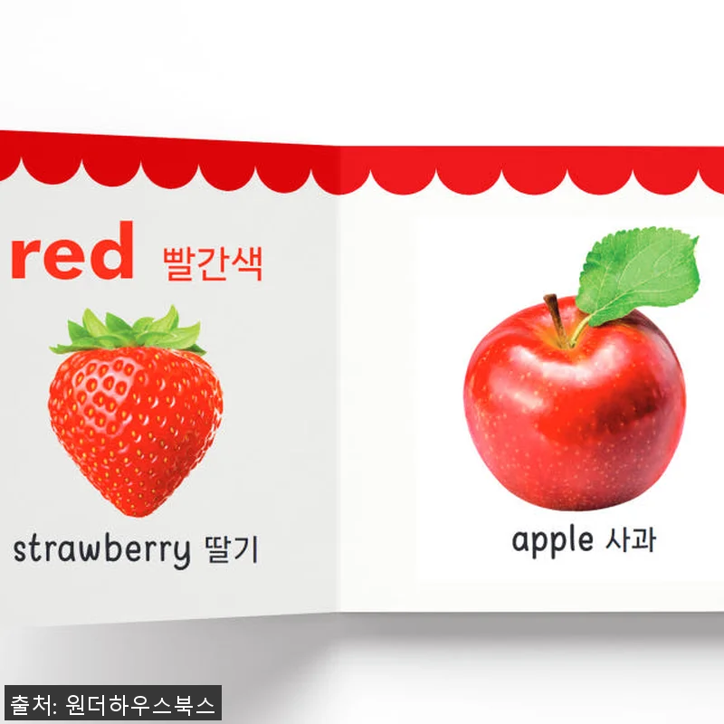 원더하우스북스 마이 퍼스트 러닝 라이 관련 이미지 3