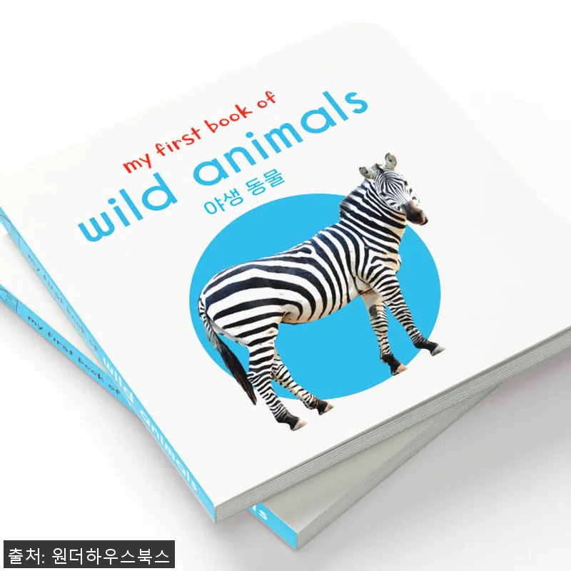 원더하우스북스 마이 퍼스트 러닝 라이 관련 이미지 4