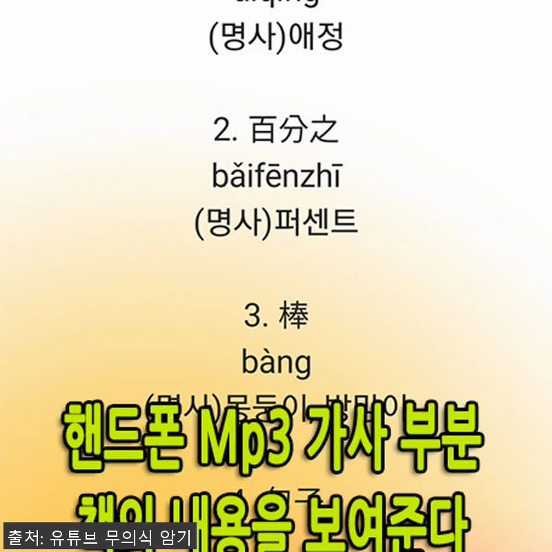 랭컴 중국어 총 패키지 (USB 증정 관련 이미지 6