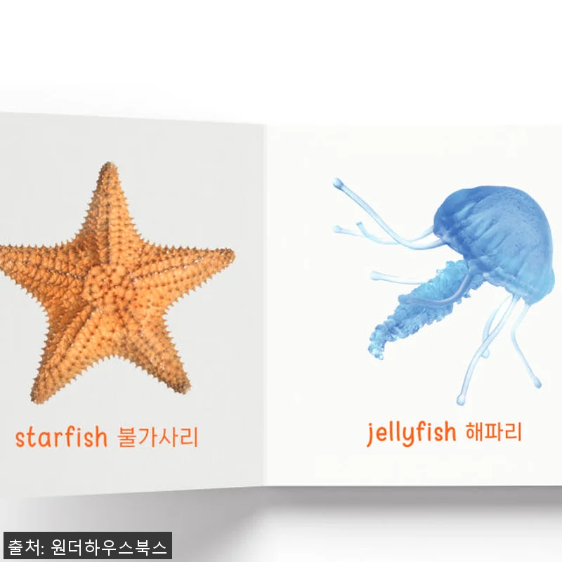 원더하우스북스 마이 퍼스트 러닝 라이 관련 이미지 6