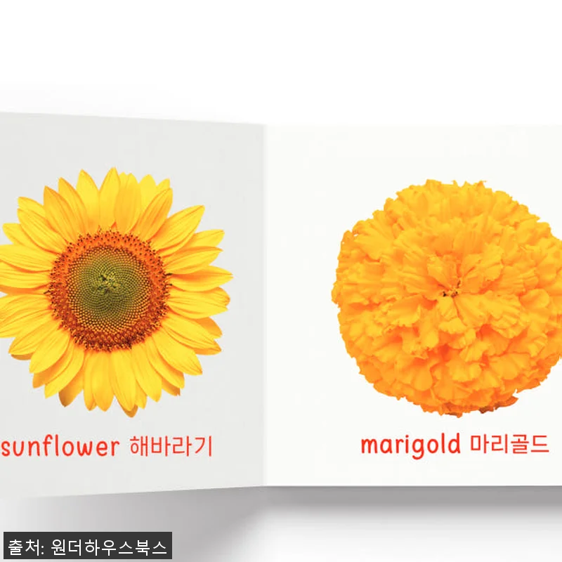 원더하우스북스 마이 퍼스트 러닝 라이 관련 이미지 7