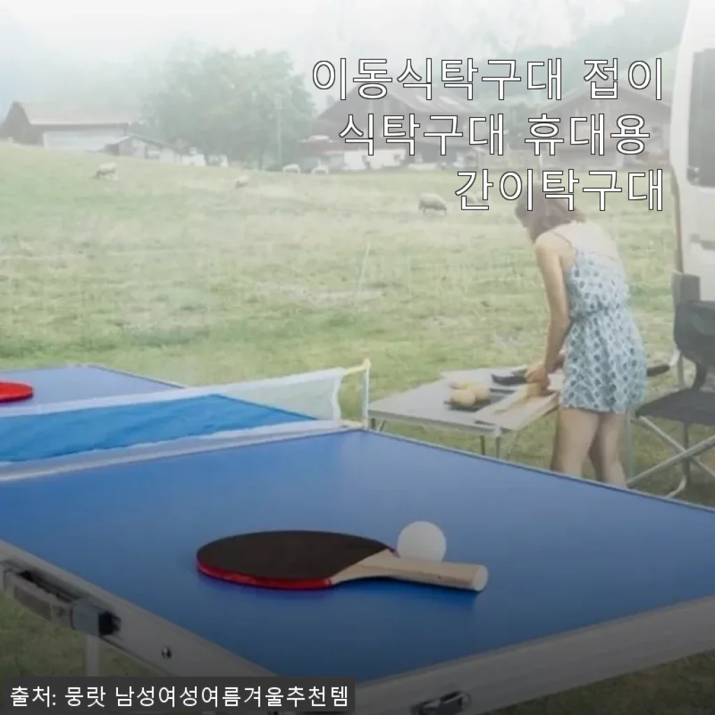이동식탁구대 접이식탁구대 휴대용 간이탁구대 사용후기